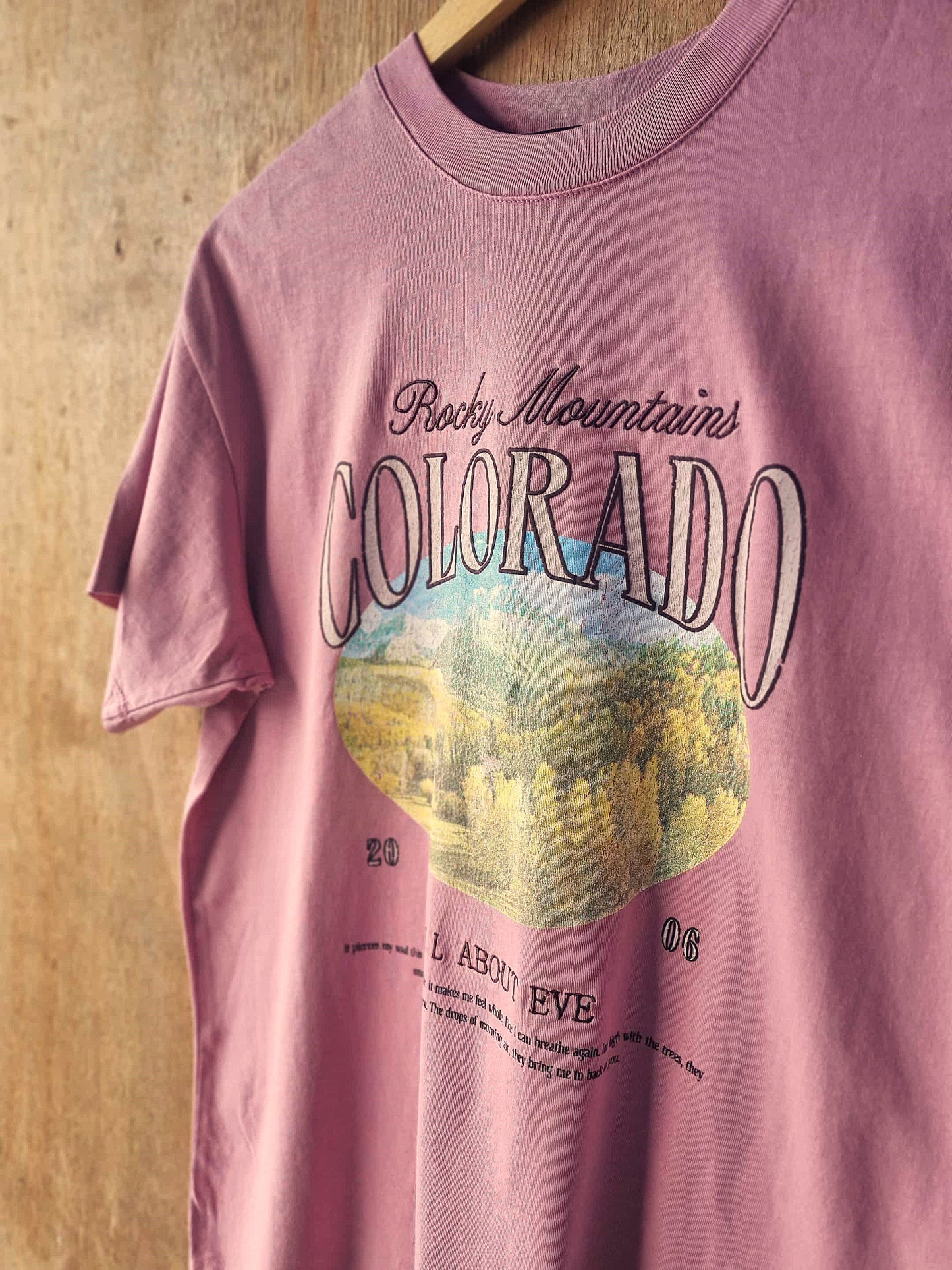 ALL ABOUT EVE Rocky Mountains Relaxed Tee Quartz Pink