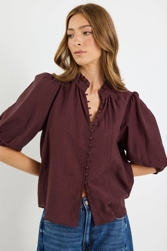 IVY+JACK Continuance Chocolate Semi Sheer High Neck Button Top