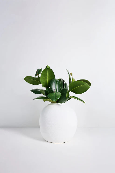 WILLOW+MAE Matte White Textured Round Vase 28cm