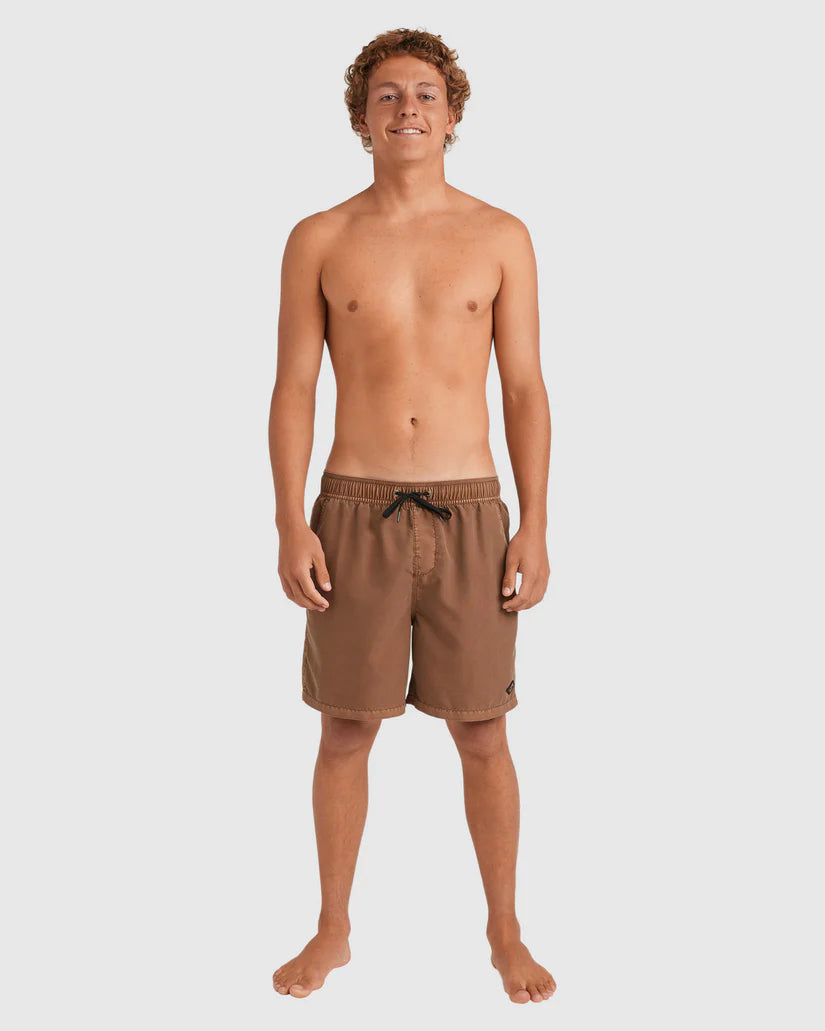 BILLABONG All Day Overdye Layback Short Tabacco