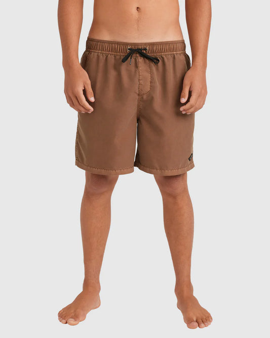 BILLABONG All Day Overdye Layback Short Tabacco