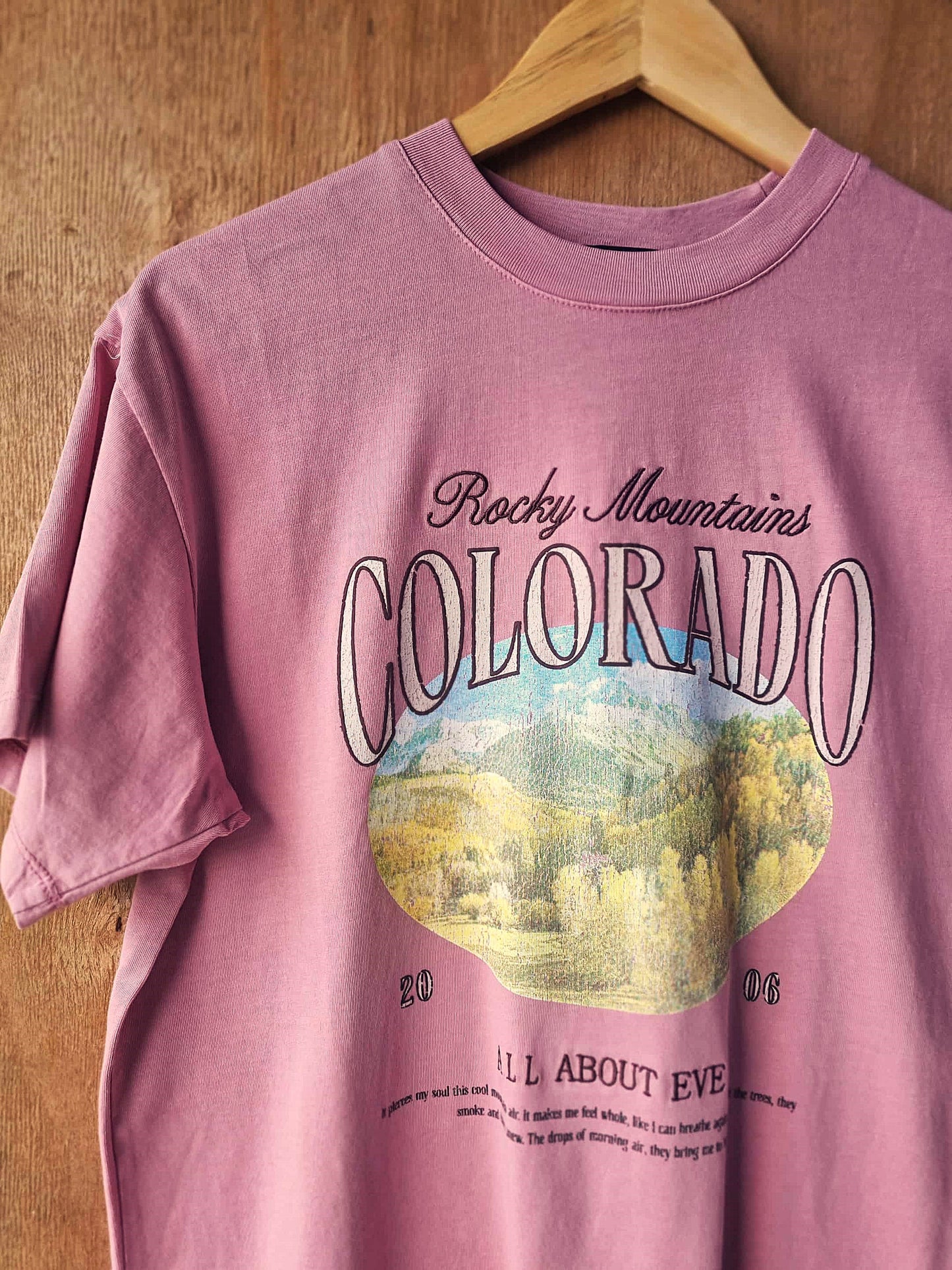 ALL ABOUT EVE Rocky Mountains Relaxed Tee Quartz Pink