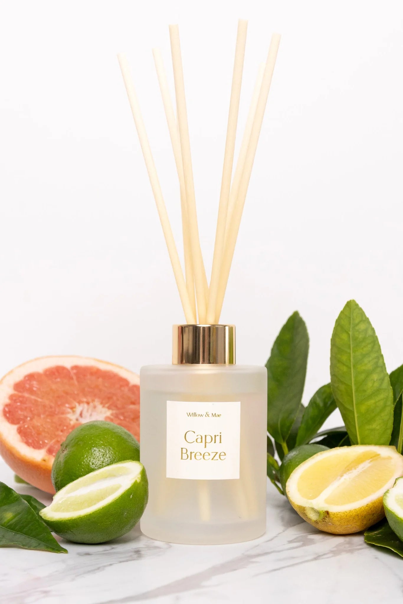 WILLOW + MAE Capri Breeze Ivory 120ml Diffuser Citrus Scent