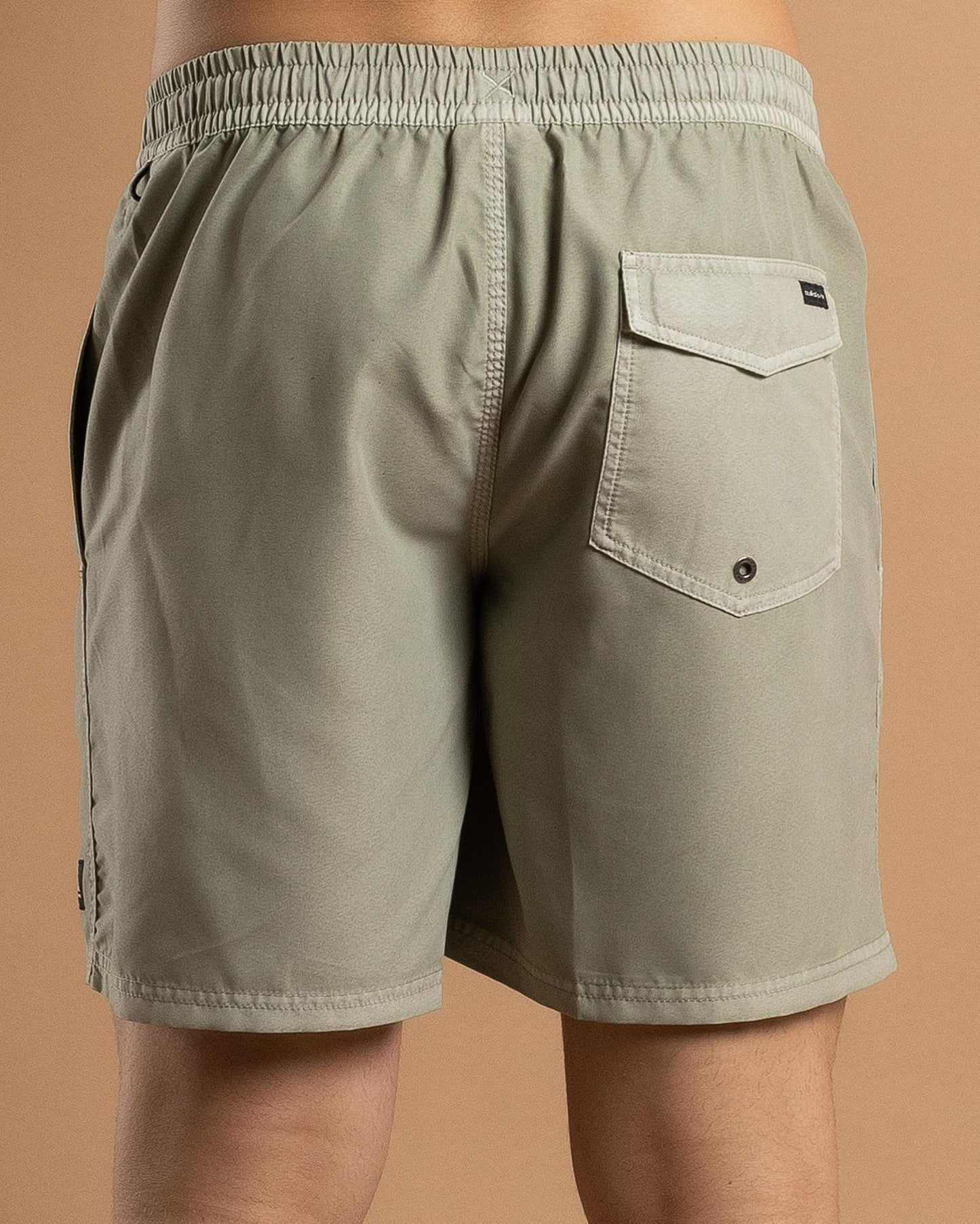QUIKSILVER Everyday Surfwash Short Iceberg Green