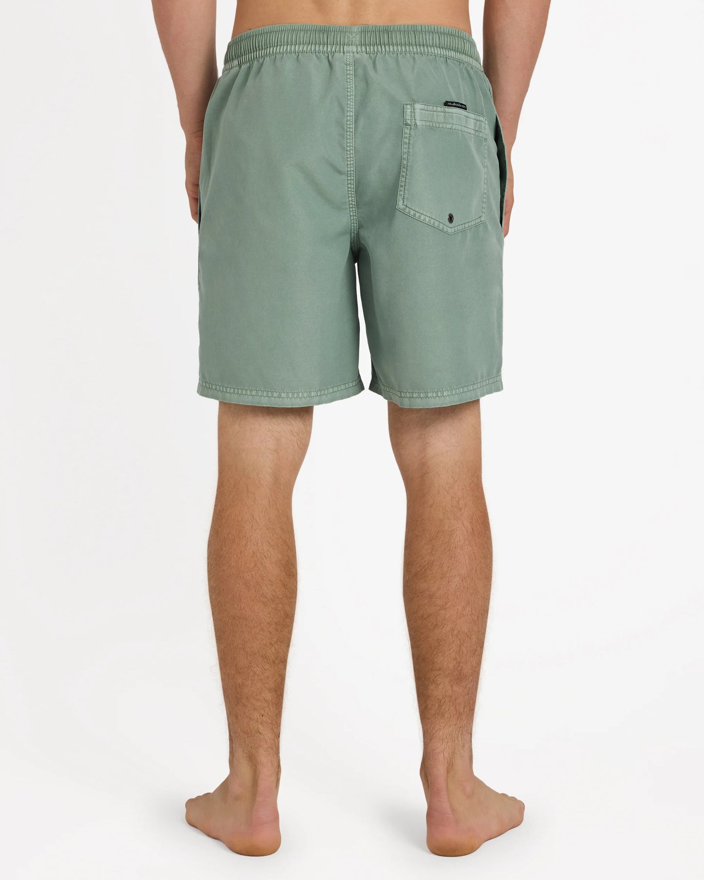 QUIKSILVER Everyday Surfwash Short Iceberg Green
